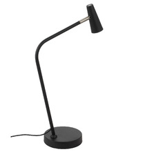 Alaura Iron Desk Lamp